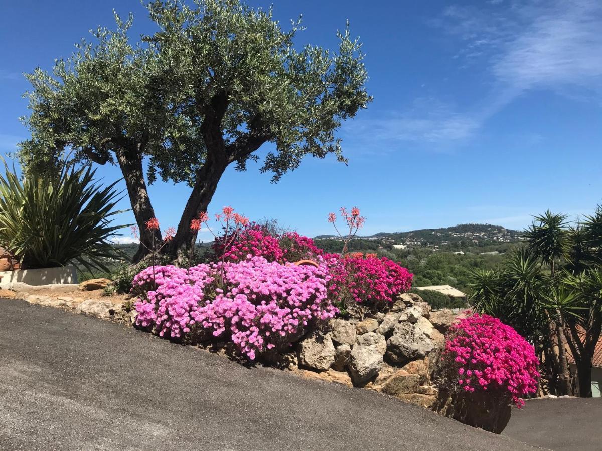 3 Bedrooms Villa Near Cannes - Pool & Jacuzzi - Sea View มองเดอลิเยอลานาปูล ภายนอก รูปภาพ